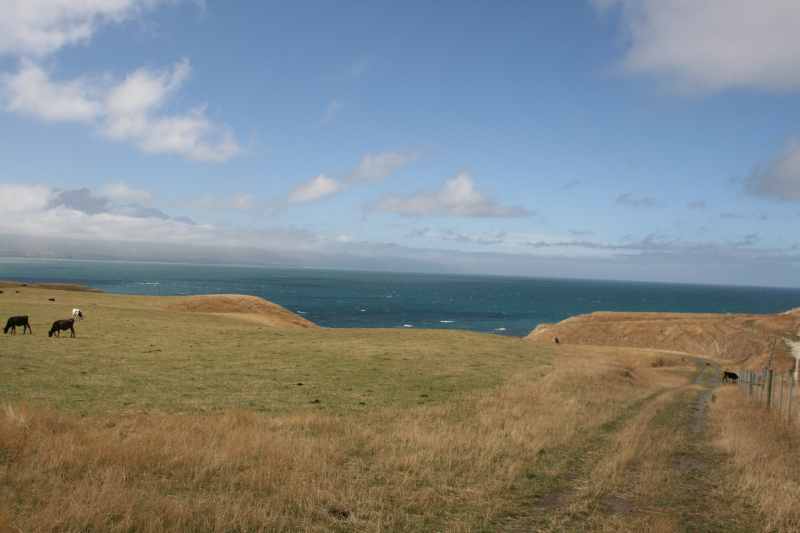 Nieuw-Zeeland 2011 - 1126